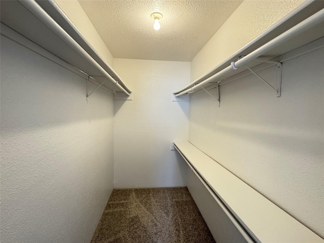 6500 Sands Point Dr Unit 114, Houston, TX 77074 - spacious closet with carpet floors