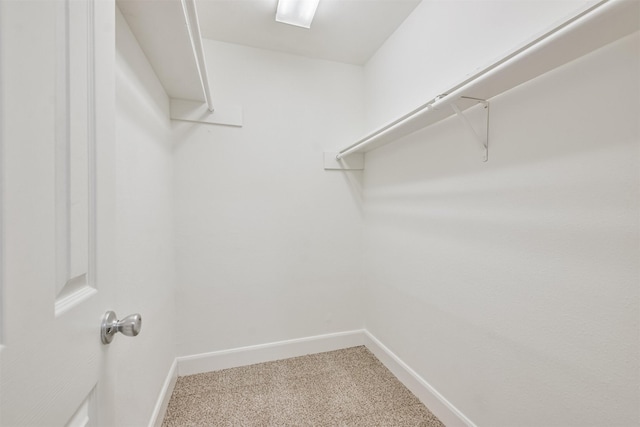 12523 Drifting Winds Dr, Houston, TX 77044 - walk in closet with carpet floors