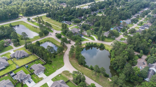 15 Rose Pine Ct, Magnolia, TX 77355 - view of property location featuring a nearby body of water and nearby suburban area