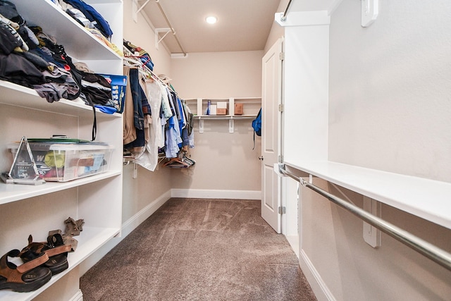 2334 Twin Rose Dr, Missouri City, TX 77459 - spacious closet featuring carpet