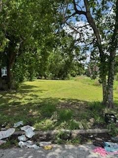 3447 Francis St, Houston, TX 77004 - photo 1