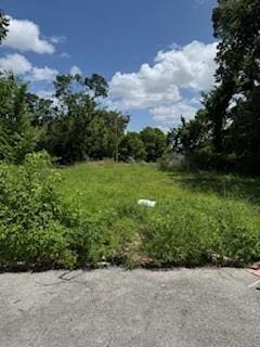 3447 Francis St, Houston, TX 77004 - photo 2