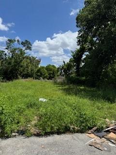 3447 Francis St, Houston, TX 77004 - photo 5