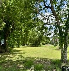 3447 Francis St, Houston, TX 77004 - photo 7