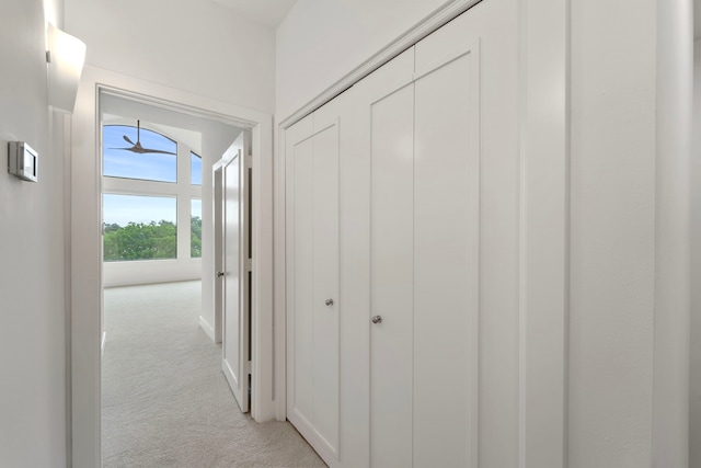 6217 Westcott St Unit B, Houston, TX 77007 - hallway featuring light colored carpet
