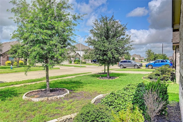 31702 Casa Linda Dr, Hockley, TX 77447 - view of grassy yard featuring a residential view