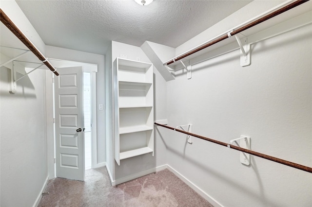31702 Casa Linda Dr, Hockley, TX 77447 - walk in closet featuring light carpet