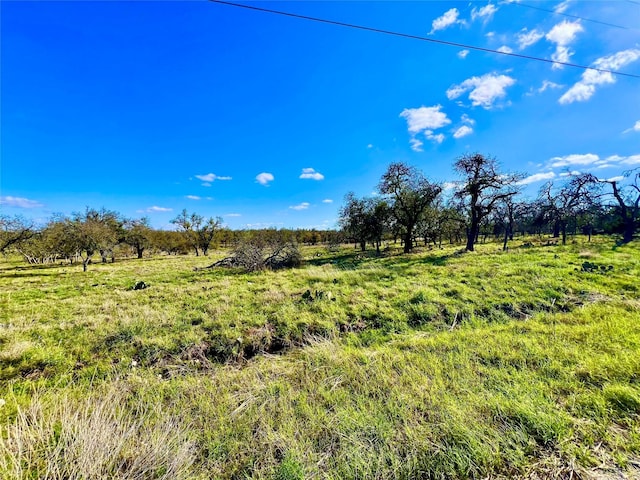 TBD Nott Branch Rd, Harper, TX 78631 - photo 9