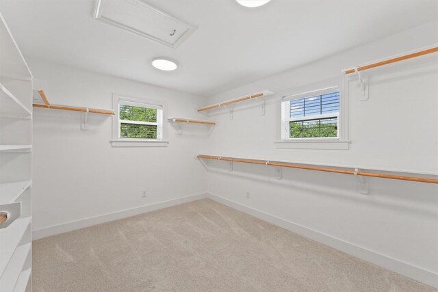 2044 Branard St, Houston, TX 77098 - spacious closet featuring light carpet and attic access