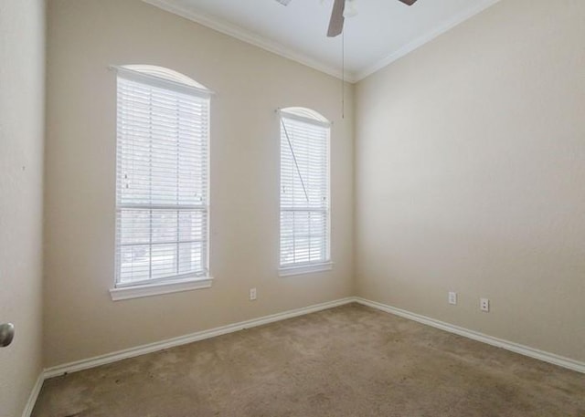 4615 Long Climb Cyn, Humble, TX 77396 - empty room featuring crown molding, carpet flooring, ceiling fan, and baseboards