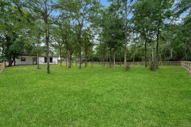 24696 Wicklow Rd, Hempstead, TX 77445 - view of yard