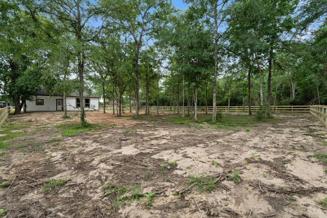 24696 Wicklow Rd, Hempstead, TX 77445 - view of yard