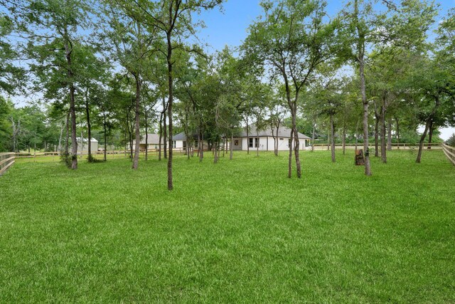 24696 Wicklow Rd, Hempstead, TX 77445 - view of grassy yard