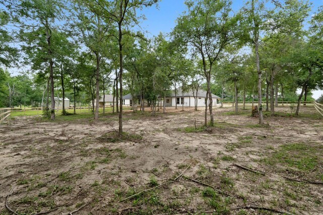 24696 Wicklow Rd, Hempstead, TX 77445 - view of yard