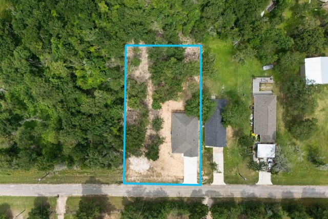 24696 Wicklow Rd, Hempstead, TX 77445 - bird's eye view