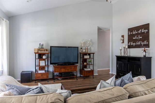 300 Coventry Rd, Spicewood, TX 78669 - living room featuring wood finished floors, baseboards, and high vaulted ceiling