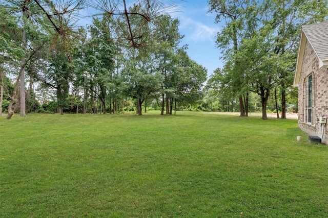 22618 Trailwood Ln, Tomball, TX 77375 - view of grassy yard