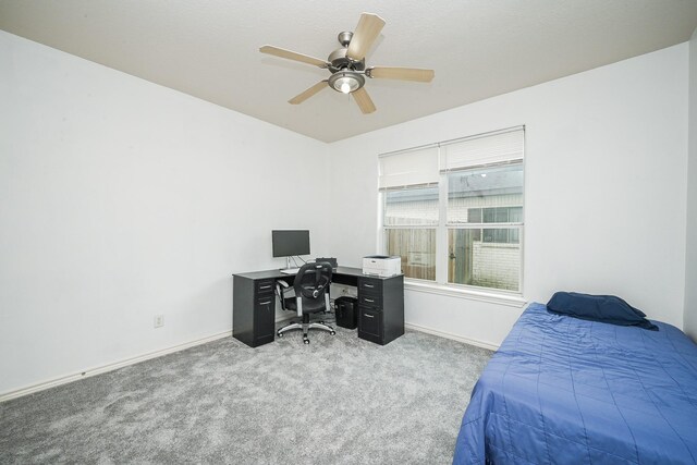 11819 Pepperdine Ln, Houston, TX 77071 - photo 15