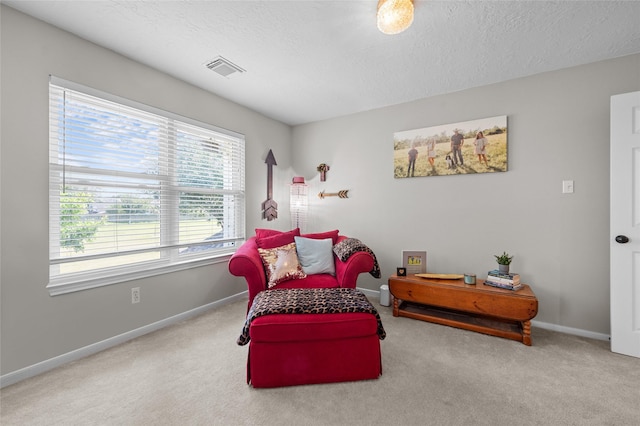 1602 Seminole St, Deer Park, TX 77536 - sitting room featuring carpet, baseboards, and a textured ceiling