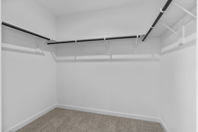 1503 Crete Is, Iowa Colony, TX 77583 - walk in closet with carpet
