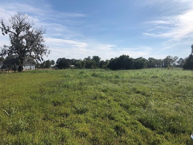 2934 Horse Trail Dr, Rosharon, TX 77583 - photo 4