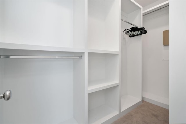 622 Janisch Rd Unit F, Houston, TX 77018 - walk in closet with carpet flooring