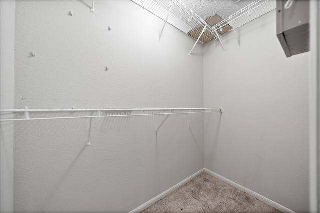 2120 El Paseo St Unit 2901, Houston, TX 77054 - spacious closet featuring carpet flooring