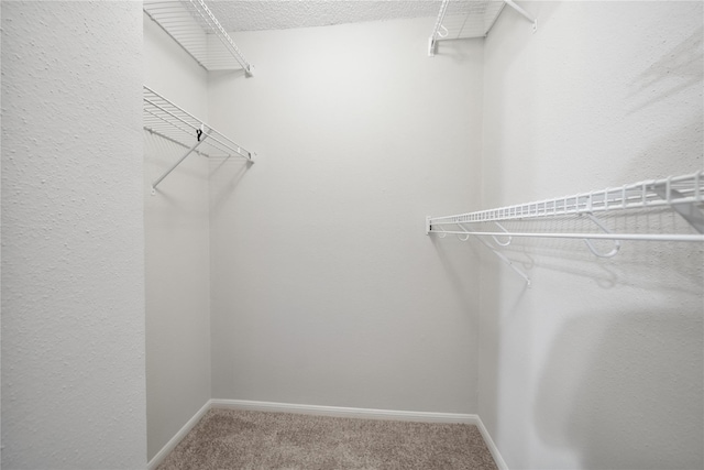 2120 El Paseo St Unit 2901, Houston, TX 77054 - spacious closet with carpet