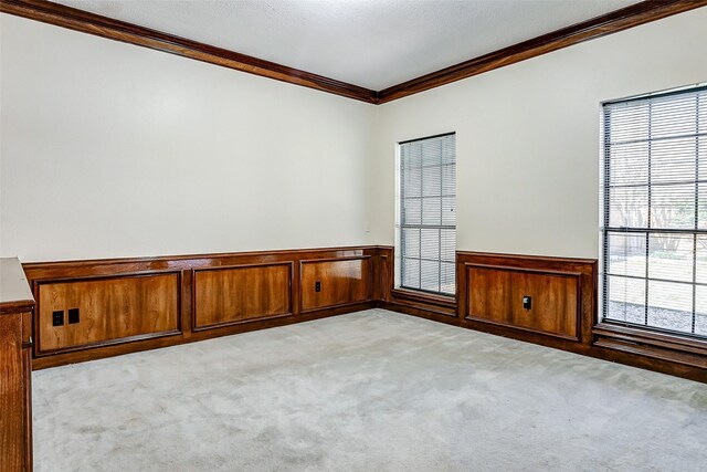 5802 Ashmere Ln, Spring, TX 77379 - empty room with crown molding, a wainscoted wall, and light colored carpet
