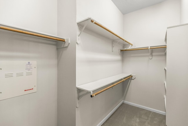 10906 Bernalda Cir, Richmond, TX 77406 - walk in closet with dark colored carpet