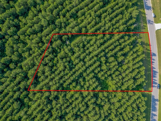 15743 Wooded Trail Way, Willis, TX 77378