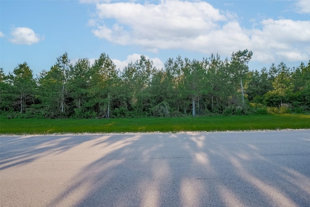 15743 Wooded Trail Way, Willis, TX 77378