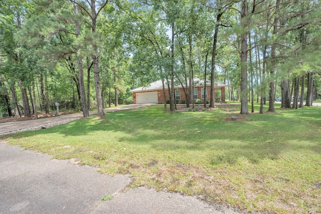 24400 Pine Valley Loop, Huntsville, TX 77320 - photo 5