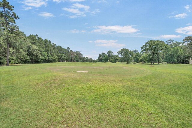 24400 Pine Valley Loop, Huntsville, TX 77320 - photo 47