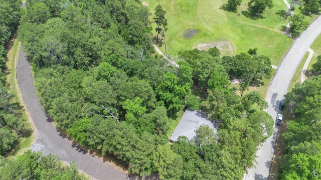 24400 Pine Valley Loop, Huntsville, TX 77320 - photo 45