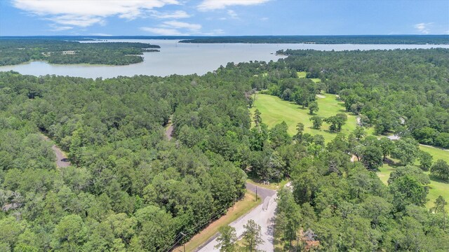 24400 Pine Valley Loop, Huntsville, TX 77320 - photo 48