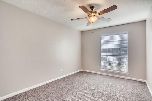 304 Lisa Ct, Friendswood, TX 77546 - photo 8