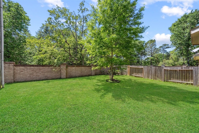 14619 Hampton Green Ln, Houston, TX 77044 - view of yard