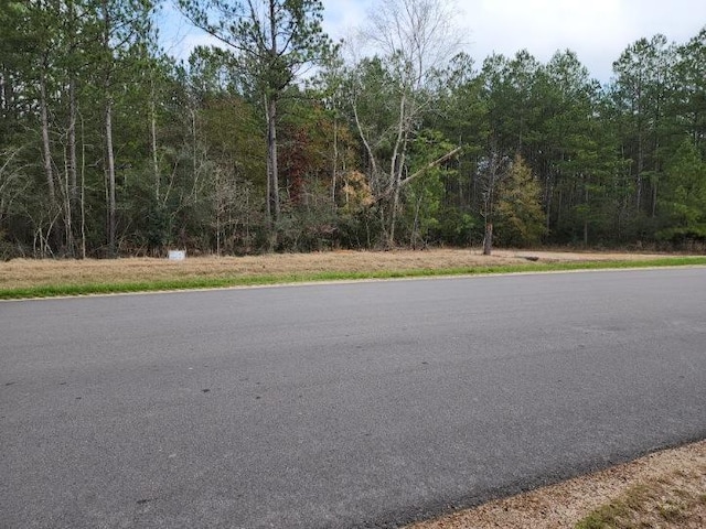 10775 Ruger Rd, Willis, TX 77378