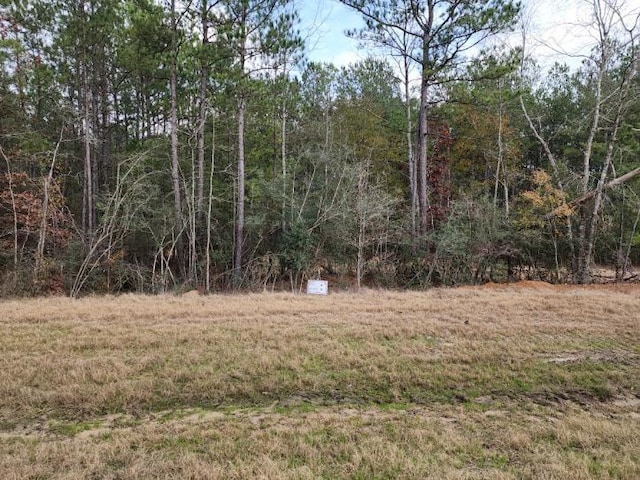 10775 Ruger Rd, Willis, TX 77378