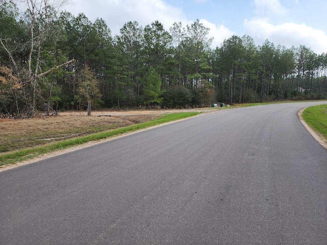 10775 Ruger Rd, Willis, TX 77378