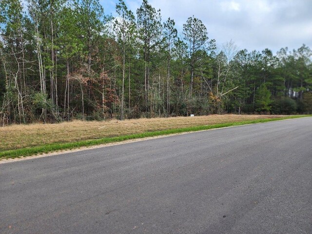 10775 Ruger Rd, Willis, TX 77378