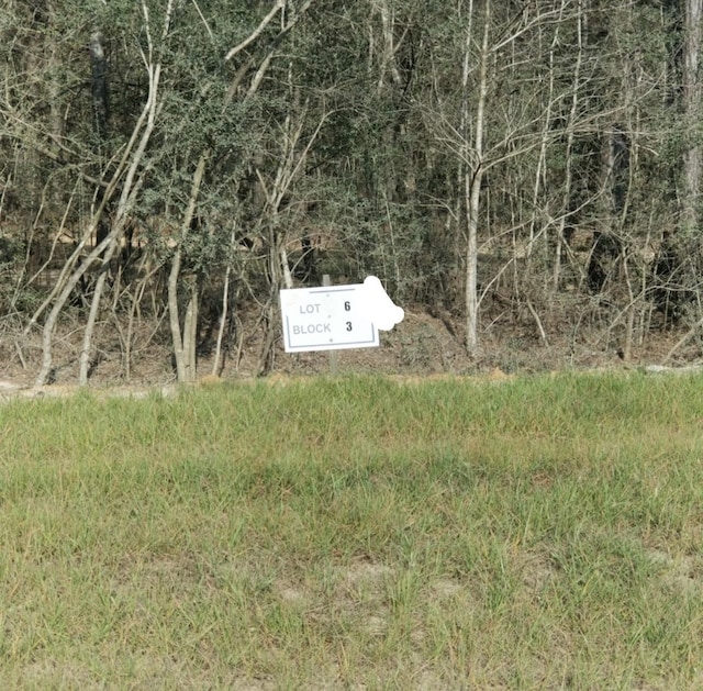 10775 Ruger Rd, Willis, TX 77378