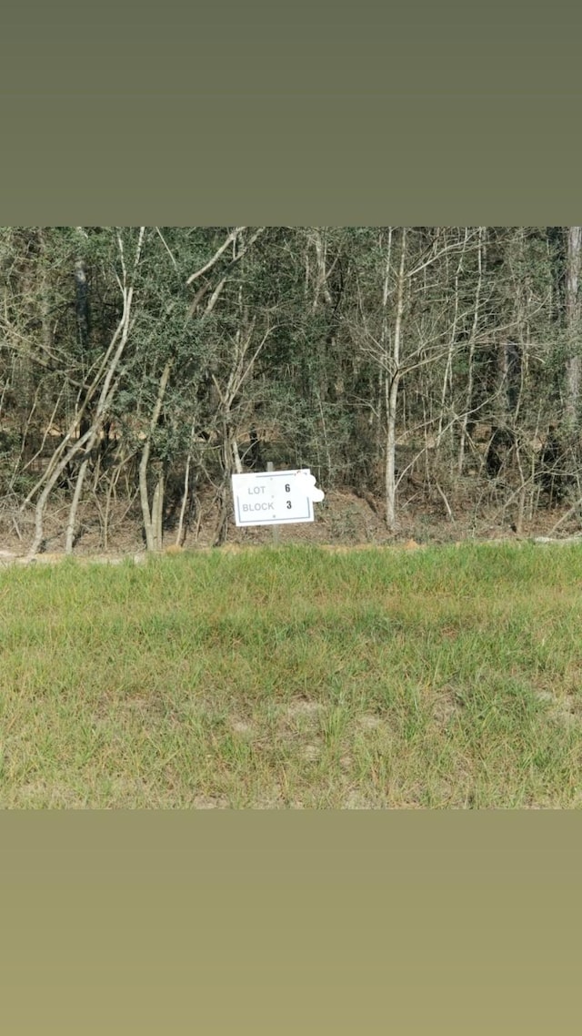 10775 Ruger Rd, Willis, TX 77378