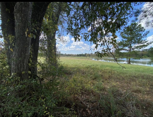 10775 Ruger Rd, Willis, TX 77378