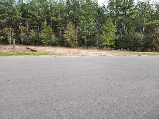 10775 Ruger Rd, Willis, TX 77378