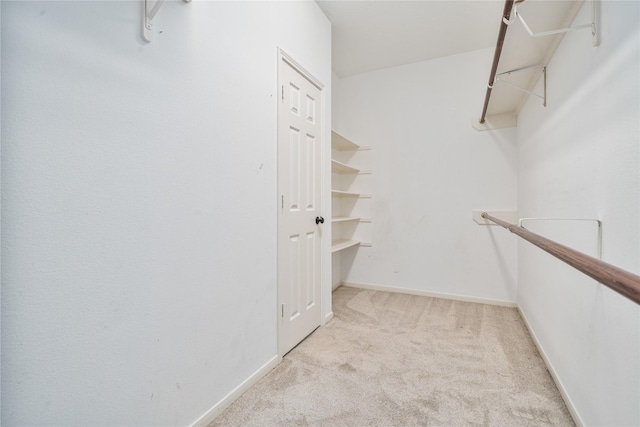 19315 Oak Station Dr, Humble, TX 77346 - walk in closet featuring light colored carpet
