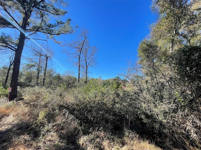 26770 Lake Shore Dr, Hempstead, TX 77445