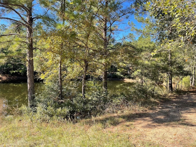 26770 Lake Shore Dr, Hempstead, TX 77445