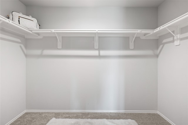 10530 Vinca Minor Ln, Houston, TX 77016 - walk in closet with carpet flooring